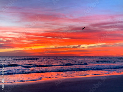 Seagull flying over a beach at sunrise © Chad