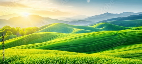 Aerial view of green fields, plants, and agricultural farmland in a rural landscape