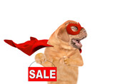 Barking Mastiff puppy with open mouth wearing superhero costume looking away on empty space and showing signboard with labeled 