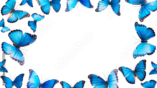 The blue butterflies frame on a transparent background.