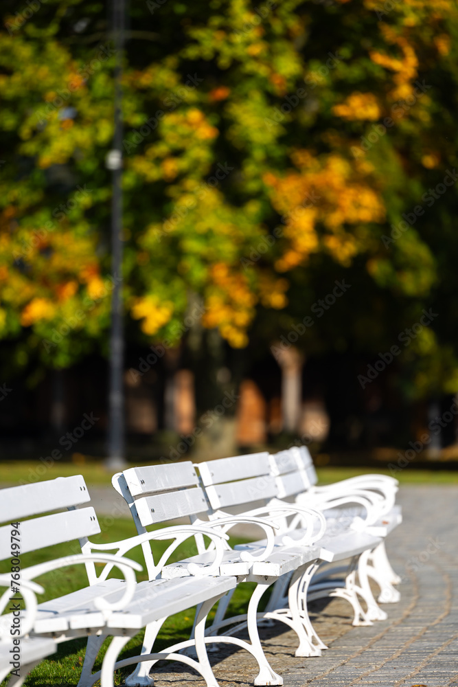 White wooden benches in a city park. A romantic photo of empty benches in sunlight
