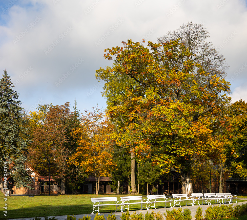 White wooden benches in a city park. A romantic photo of empty benches in sunlight