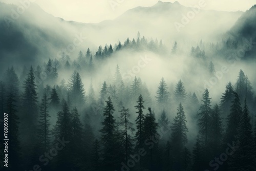 Abstract forest with towering trees and misty fog