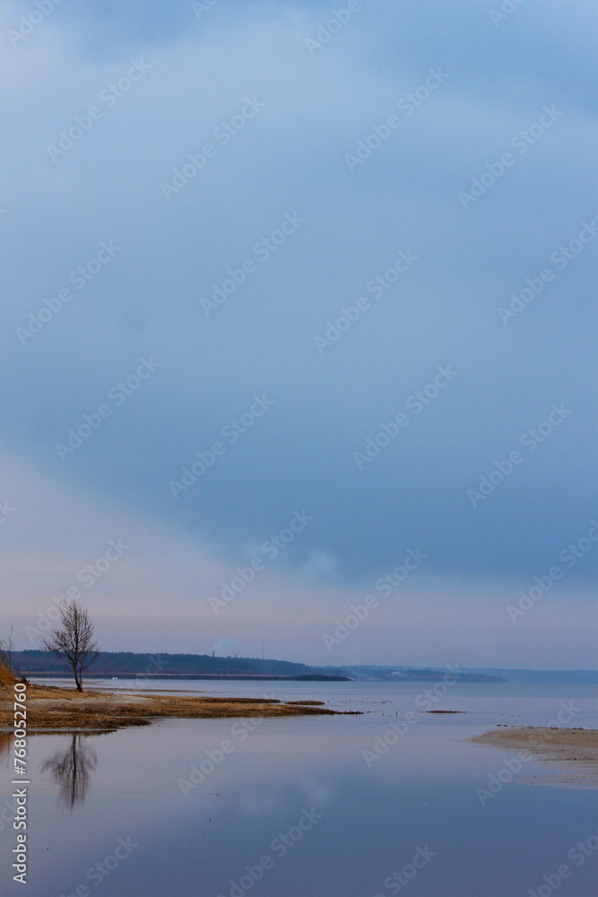 Obraz premium tree on the beach