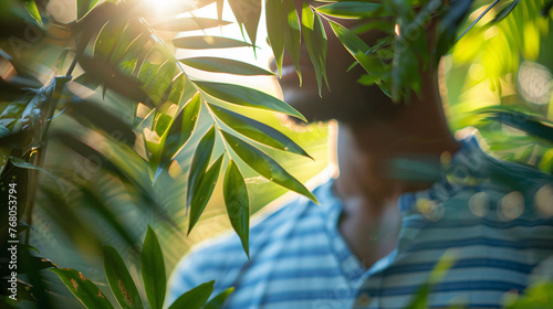 tree in the jungle