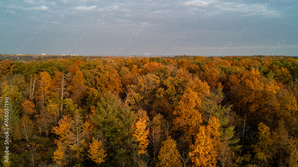Colorful Autumn trees from an aerial view beside a suburb community