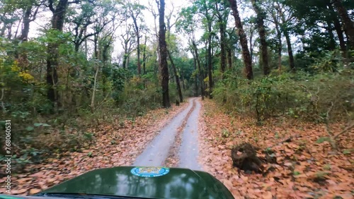 Jungle scenes during safari at Buxa Tiger Reserve, India. photo