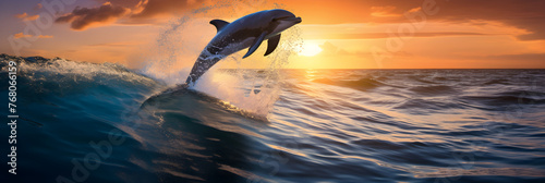 Dancing Dolphin in Golden Sunset: A Spectacular Display of Serene Ocean Life photo