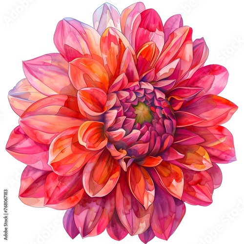 Vibrant and Captivating Watercolor Dahlia Blossom with Striking Colors