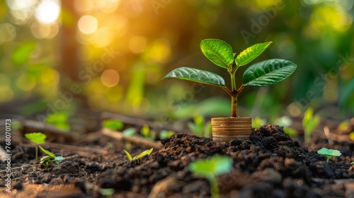 A young plant sprouts from a stack of coins buried in fertile soil, symbolizing investment growth, financial success, and sustainable economy.