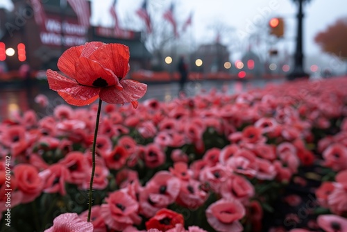 Memorial Day: Honoring those who served with poppies, a symbol of remembrance and hope. photo