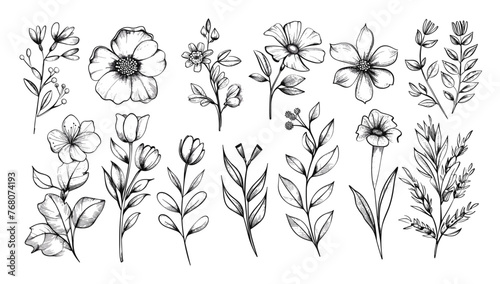 花の落書き手描きの線のストローク。手描きの春の花植物、自然のグラフィック葉、落書きグランジ ブラシ テクスチャをスケッチします。ベクトルのシンプルな花、葉のブラシ ストローク。ベクトル図