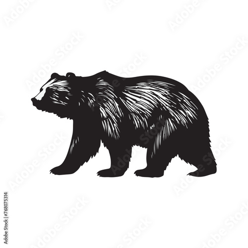 Vector walking bear silhouette isolated on white background