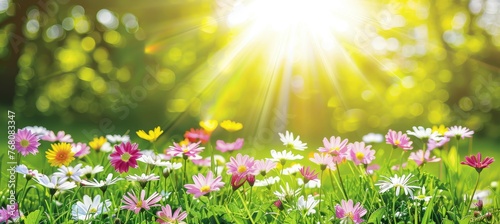 Vibrant spring floral background colorful nature landscape with soft focus flowers in early summer