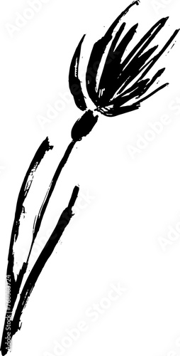 Dry Brush Milk Thistle Flower Silhouette