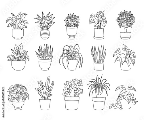 Collection of Houseplants Line Drawings