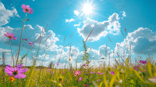 Beautiful blooming purple flower landscape with green grass spring field meadow and bright sunny summer day 