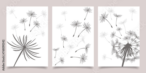 Set of cards, posters with dandelions. Black dandelion seeds fly in the wind. Collection of nature cards. Vector