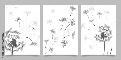 Set of cards, posters with dandelions. Black dandelion seeds fly in the wind. Collection of nature cards. Vector