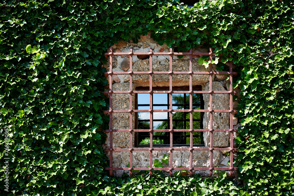 Ancient window frame covered with a metal grate and surrounded by heather