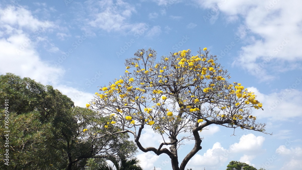 The sky is clear and the atmosphere is clear at a public park. The sky is clear and the atmosphere is clear at a public park.