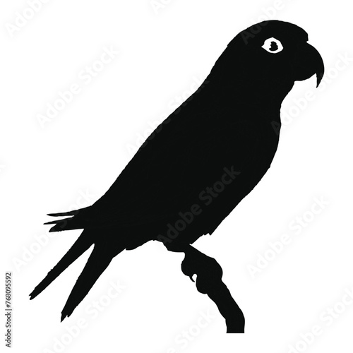 Lovebird Silhouette