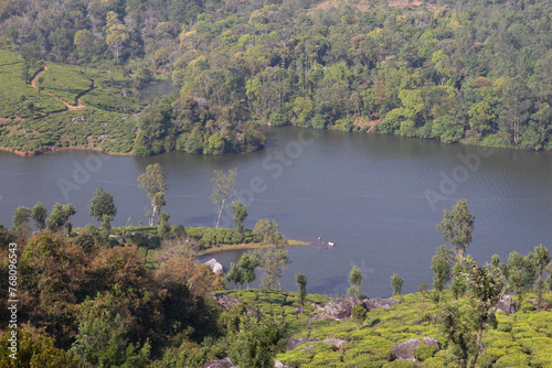 small Lake and green forest