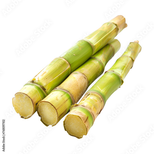 Three pieces of stalks green sugar cane from a Brazilian plantation and farming