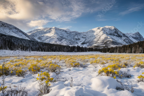 Breathtaking winter panorama of snow-capped mountains and a frozen lake in a national park