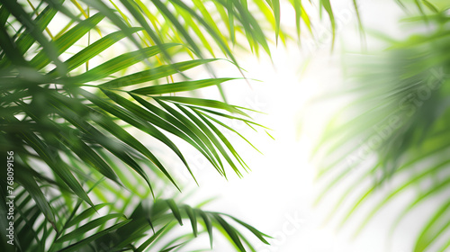 Tropic Background isolated on white with copy space  generative ai