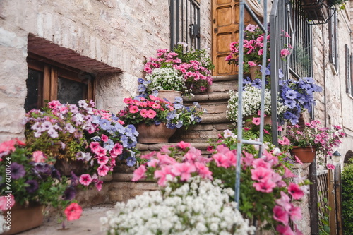 flowers in  pots Orvieto in Umbria, Italy
