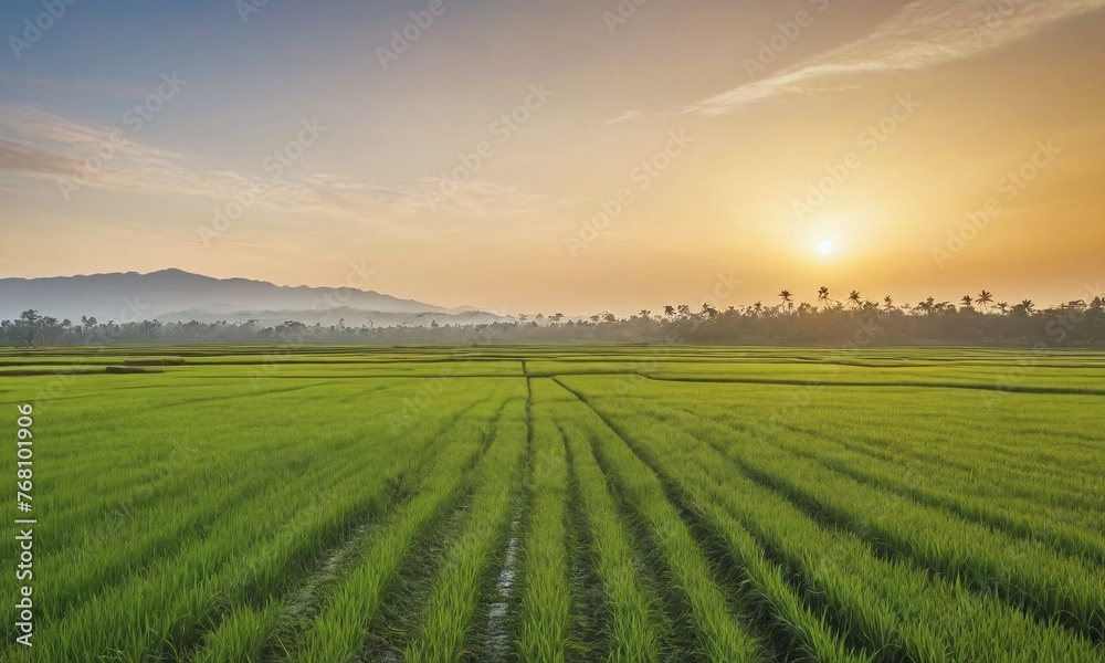 nature light, cinematic, highly detailed nature light, cinematic, highly detailed