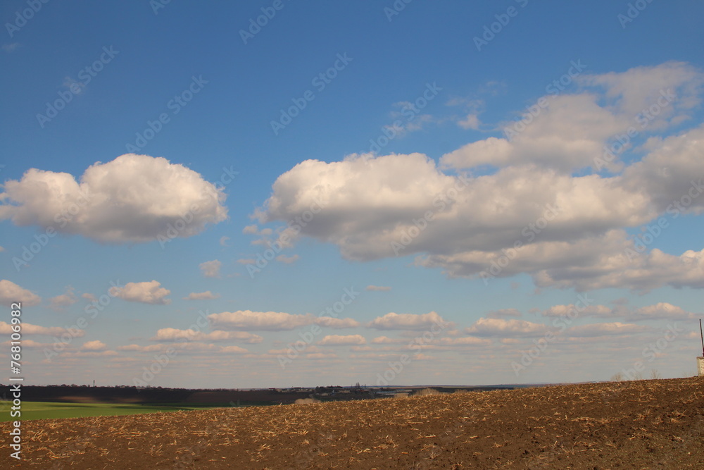 Fototapeta premium A field with a blue sky and clouds