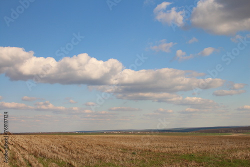 A field with grass and blue sky