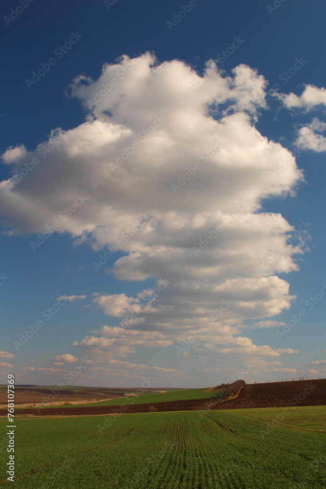 A large cloud in the sky