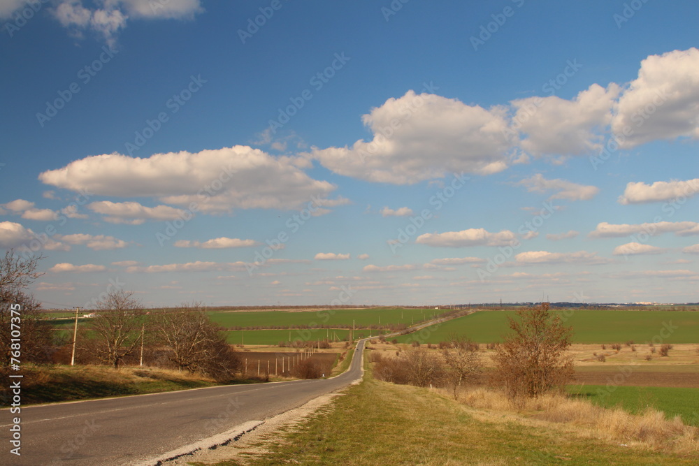 A road with grass and trees on both sides