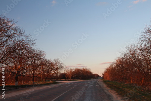A road with trees on either side © parpalac