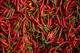Abundant red chili peppers, freshly harvested and piled high, ready for wholesale - a testament to successful organic farming