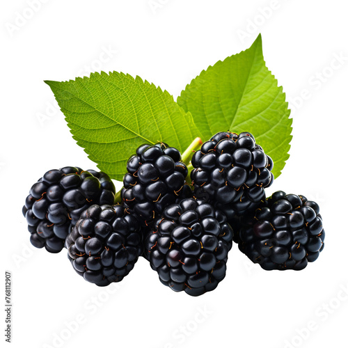 Blackberry isolated on transparent background