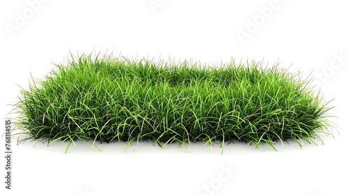 Green grass isolated on white background. 3D rendering.