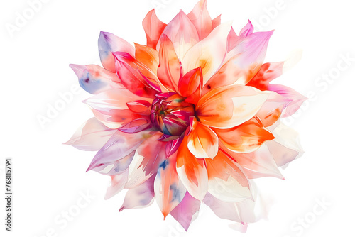 Vibrant Multi-Colored Dahlia Flower - Isolated on Transparent White Background PNG  © Lumi