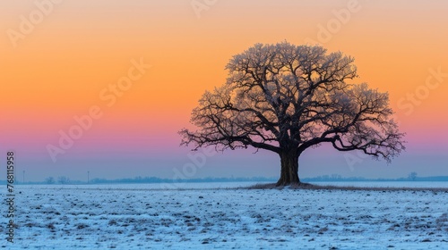 Tranquil winter sunrise background, ideal setting for serene morning landscape scenes © Ilja