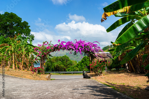 Arch of purple flowers  in Thailand