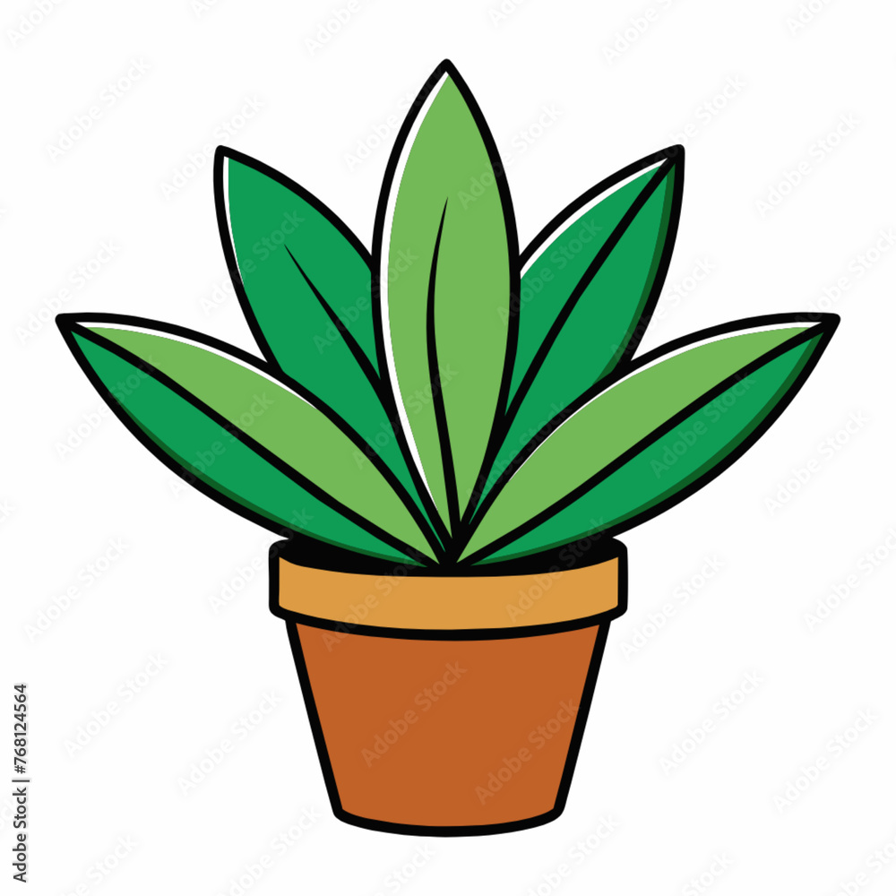 plant in pot plant in pot