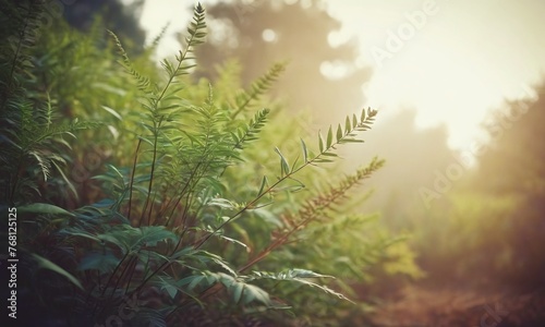 nature light  cinematic  highly detailed