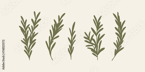 Flat vector rosemary branches collection