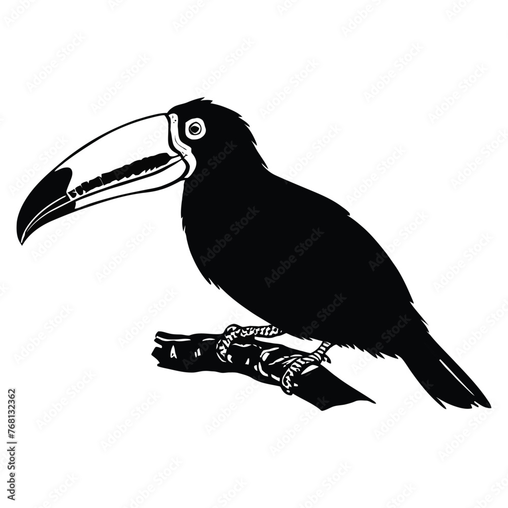 Fototapeta premium Toucan Silhouette