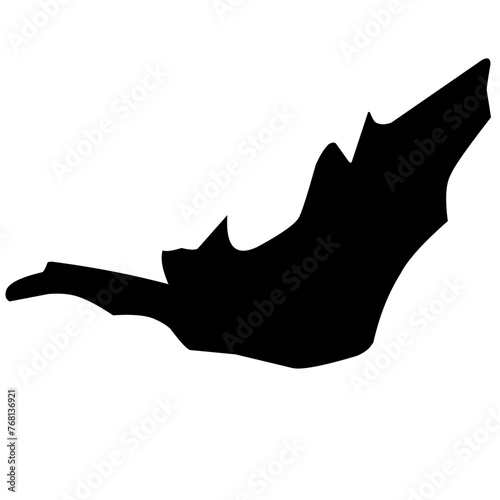 silhouettes of bats