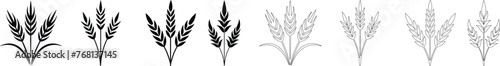 Bunches of wheat or rye ears with whole grain. Wheat wreaths and grain spikes set icons. Vector illustration photo