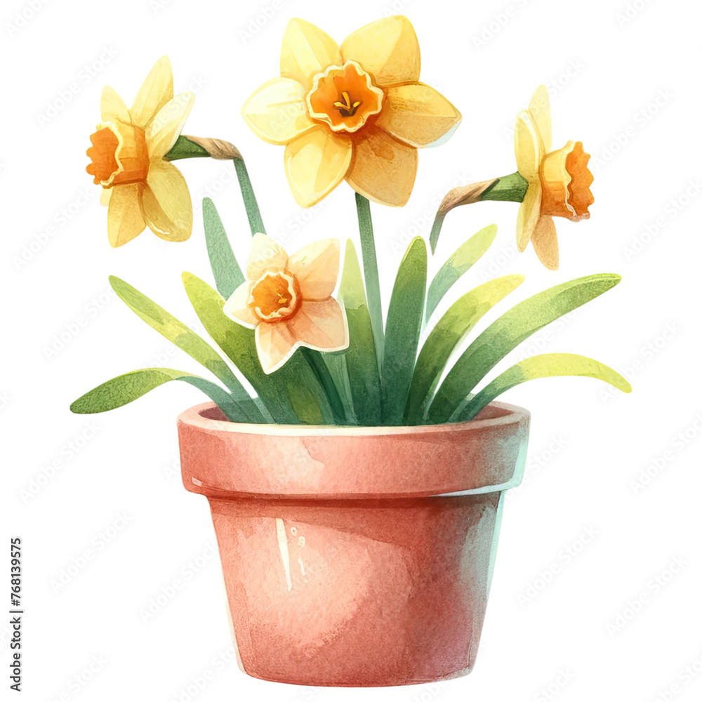 Daffodil Animal